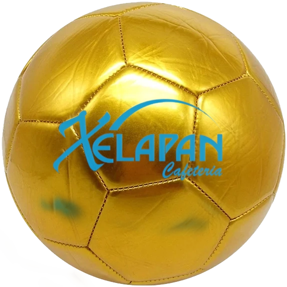 Xelapan golden soccer ball